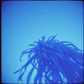 Les Mots Bleus
