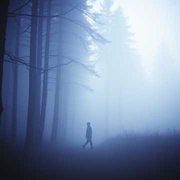 In the silence