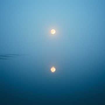 Dancing in the Moonlight
