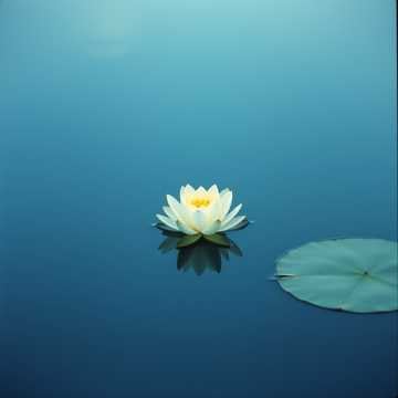 Born From Silence