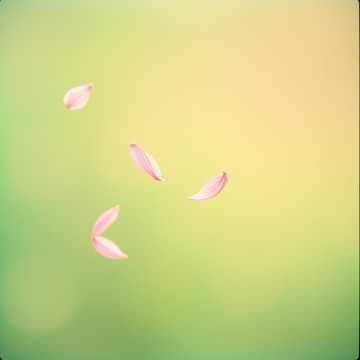 Whispers of Spring