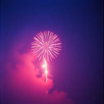 Magia