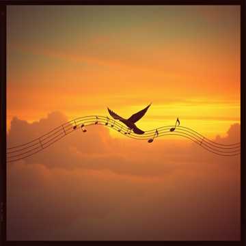 Free