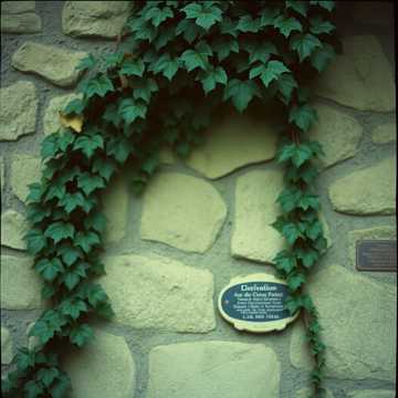 Stone walling