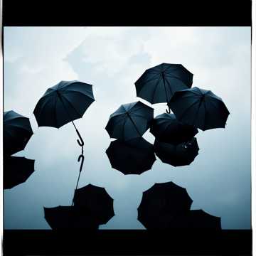 Rainy Reverie