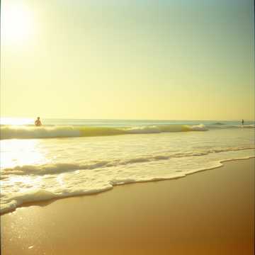 Under the sunlight