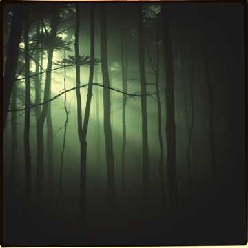 Eternal Darkness Falls